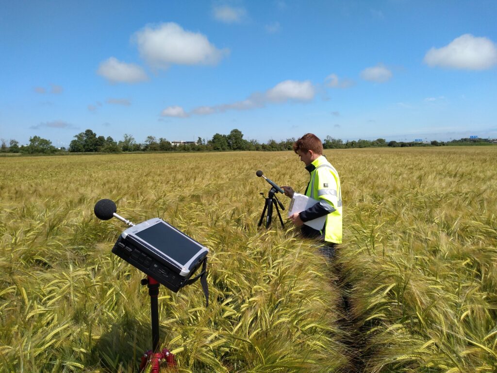 An Amplitude Acoustics engineer conducting an environmental noise survey in a barley field